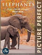 Elephants: Picture Perfect Photo Book