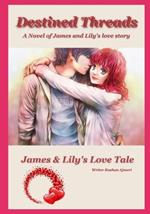 Romantic Novel Destined Threads: James & Lily's Love Tale (A Novel)