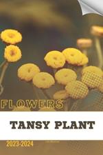 Tansy Plant: Become flowers expert