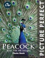 Peacock: Picture Perfect Photo Book