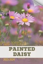 Painted Daisy: Become flowers expert