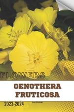 Oenothera Fruticosa: Become flowers expert