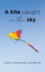 A Kite Caught in the Sky