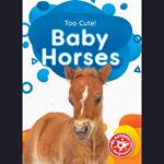 Baby Horses