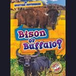 Bison or Buffalo?