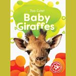 Baby Giraffes