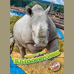 Rhinoceroses