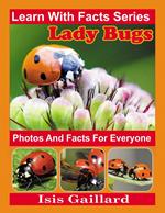 LadyBug Photos and Facts for Everyone