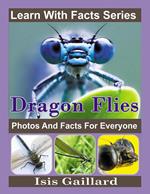 Dragonfly Photos and Facts for Everyone