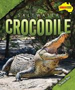 Saltwater Crocodile