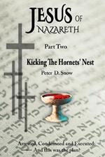 Jesus of Nazareth: Kicking the Hornets' Nest