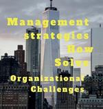 Management strategies How Solve Organizational Challanges