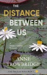The Distance Between Us: A Hidden-Identity Romance