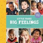 Little Faces Big Feelings: What Emotions Look Like