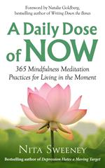 A Daily Dose of Now: 365 Mindfulness Meditation Practices for Living in the Moment