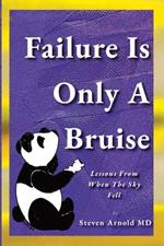 Failure Is Only A Bruise: Lessons From When The Sky Fell